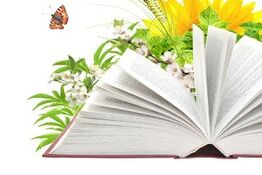 Конкурс на знание русского языка «Грамотей»